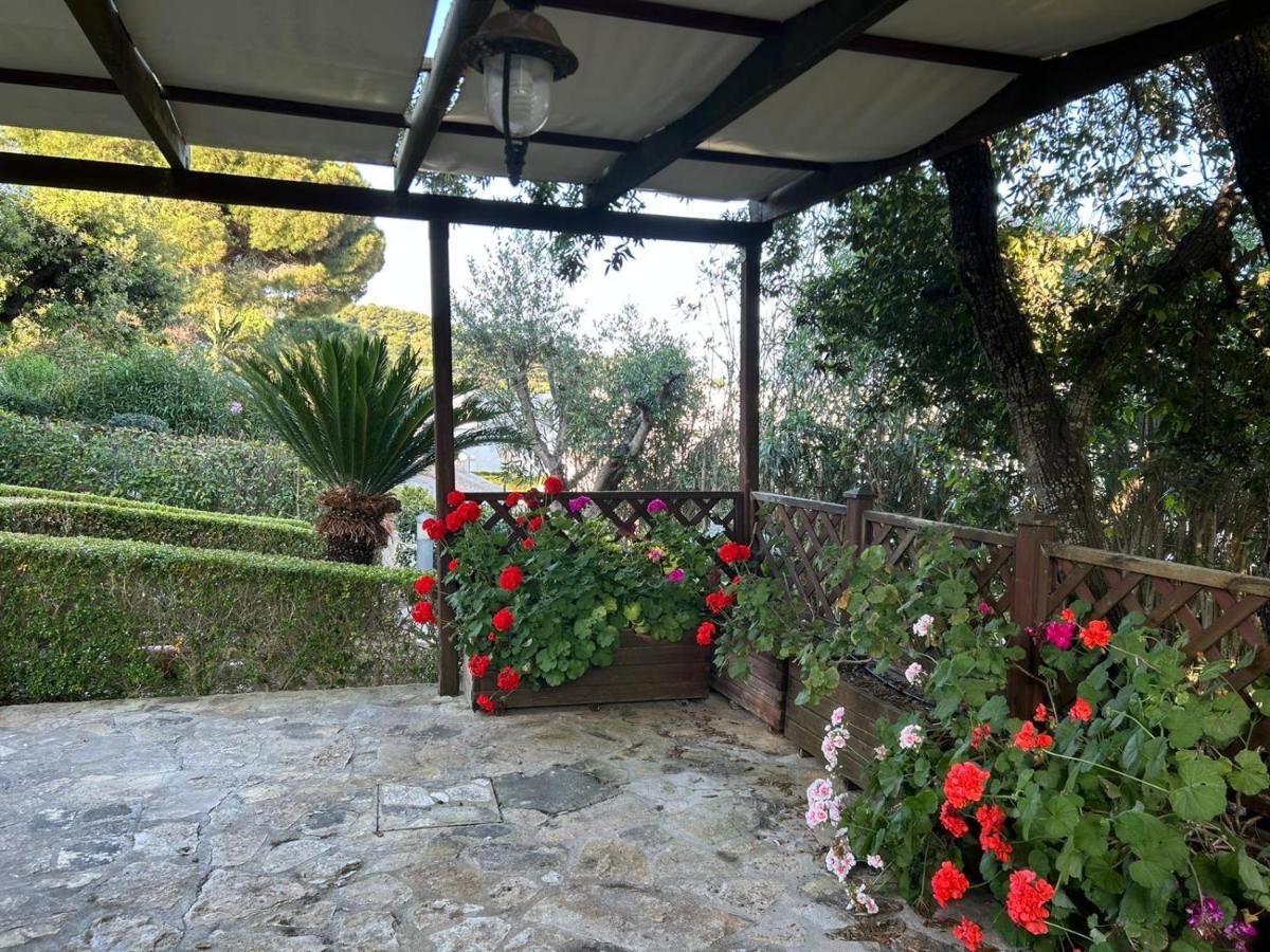 Villetta A Pochi Passi Dal Mare Santa Cesarea Terme Exteriér fotografie
